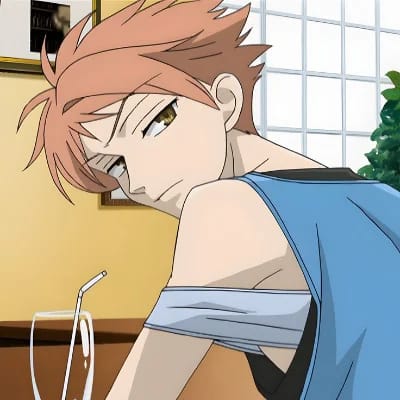 Hikaru Hitachiin