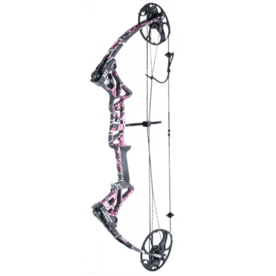 Compound Bow