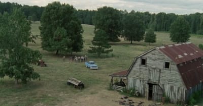 The Walking Dead