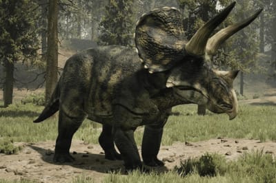 Eotriceratops