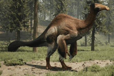 Deinocheirus