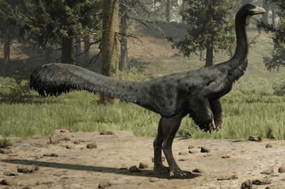 Struthiomimus