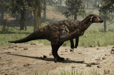 Camptosaurus