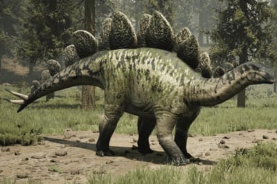Stegosaurus