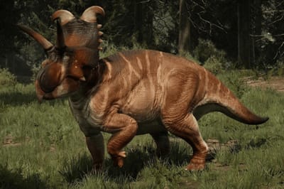 Albertaceratops