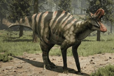 Lambeosaurus