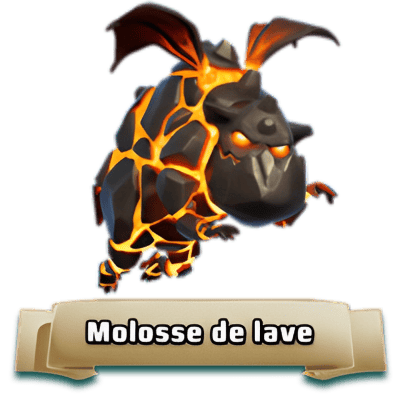 Cão de Lava