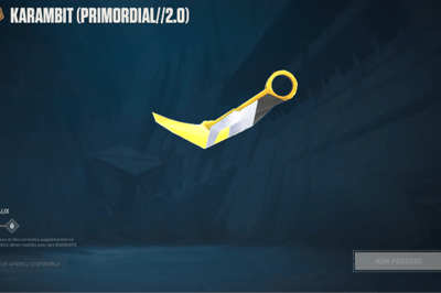 Karambit Prime