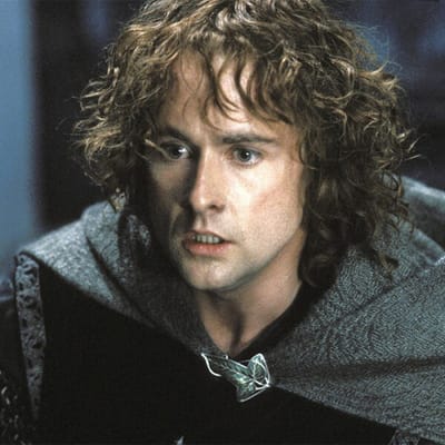 Peregrin «Pippin» Tuk