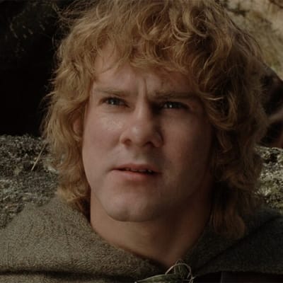 Meriadoc «Merry» Brandigamo