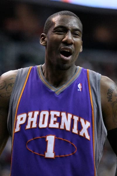 Amar'e Stoudemire