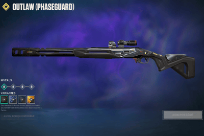 Phaseguard