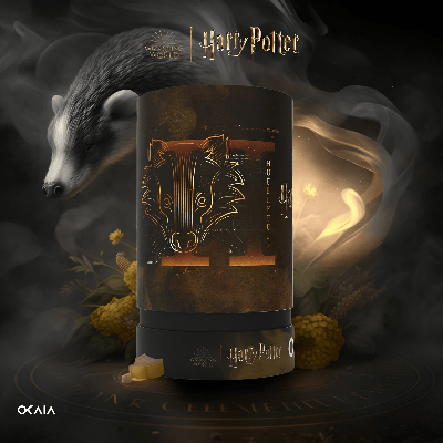 Hufflepuff 🦡