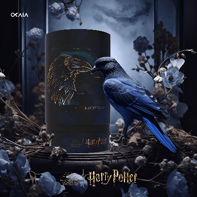 Ravenclaw 🦅