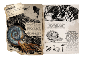 Ammonite
