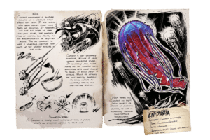 Cnidaria