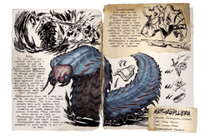 Arthropluera