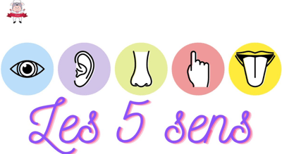 I 5 sensi del corpo umano