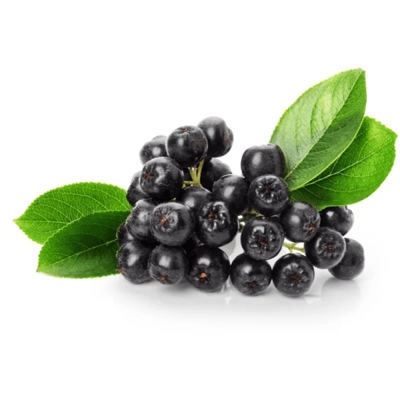 Aronia