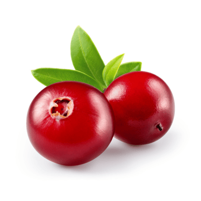 Mirtillo rosso americano