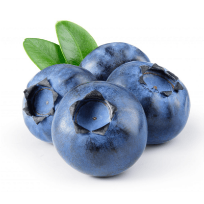 Mirtillo gigante