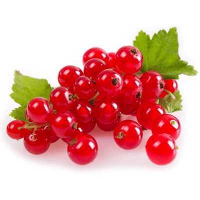 Ribes rosso