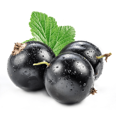 Ribes nero