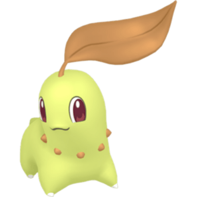 Bayleef ✨
