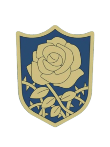 Rosa Azul
