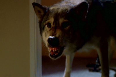 06×16 – Entre Cão e Lobo [Alpha]