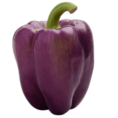 peperone viola
