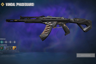 Phaseguard