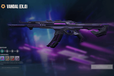 EX.O