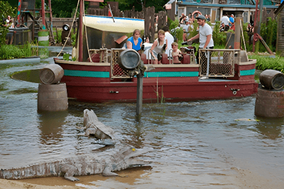 Bahía Alligator