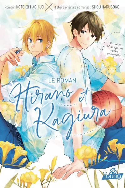 Novel