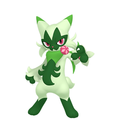 Floragato