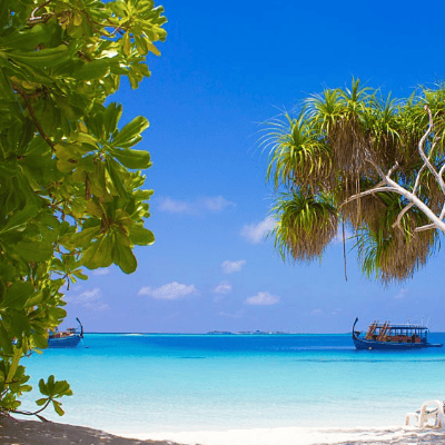 Ari Atoll in the Maldives