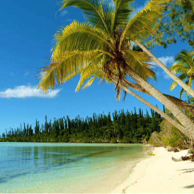 Isle of Pines Beaches in New Caledonia