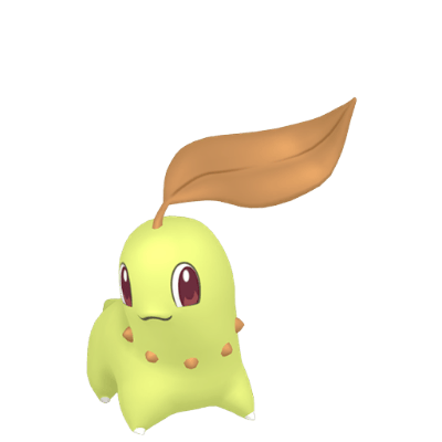 Chikorita ✨