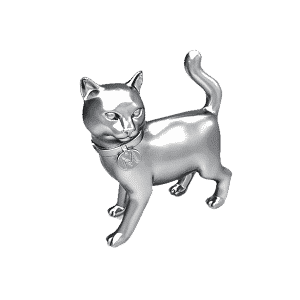 The cat