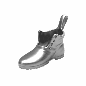 The shoe