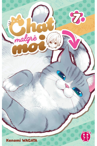 Volume 7 🐱