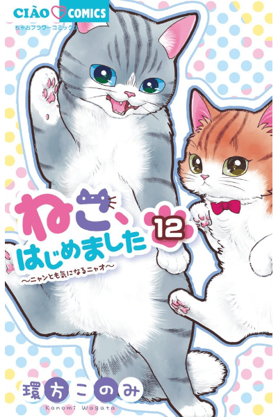 Volume 12 🐱