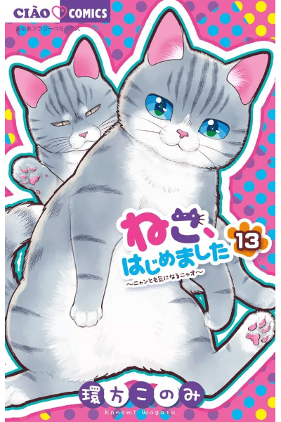 Volume 13 🐱