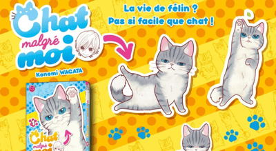 El gato que quería ser humano