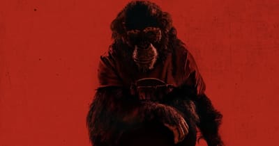Primate