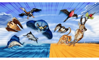 Animais velozes