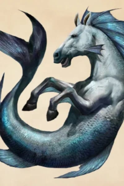 Hippocampus