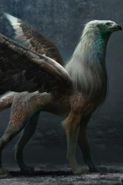 Griffin