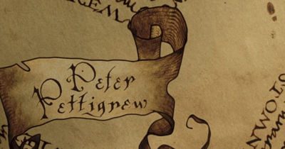 Harry Potter